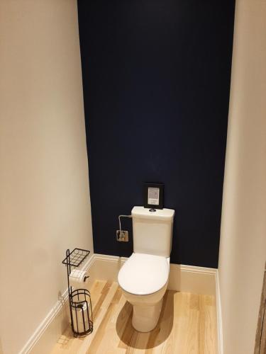 ein Badezimmer mit einem weißen WC und einer schwarzen Wand in der Unterkunft La chambre de maître du boulevard Thiers, entrée et terrasse privatives in Remiremont