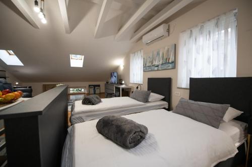 Studio "CENTAR 1"-50m2
