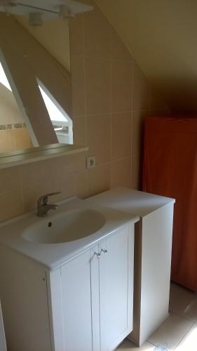 une salle de bain avec un lavabo et un miroir dans l'établissement La Tanière, à Brette-les-Pins