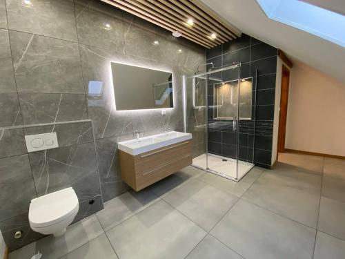 a bathroom with a toilet and a sink and a shower at Ferien- und Pferdegut Schloss Treffen in Görtschach