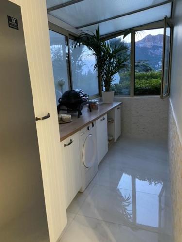 une cuisine avec des placards blancs et une fenêtre avec une plante dans l'établissement LA MAISON DE DOMS avec JACUZZI et vue mer, à Cassis