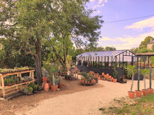 un jardin avec des plantes en pot et une serre dans l'établissement Le Cactus Orange Appartement 2 à 4 personnes avec entrée indépendante, à Cressensac