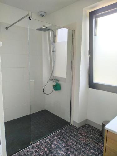 La salle de bains est pourvue d'une douche avec une porte en verre. dans l'établissement Le Cactus Orange Appartement 2 à 4 personnes avec entrée indépendante, à Cressensac