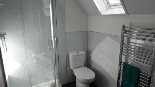 a small bathroom with a toilet and a shower at Bunroy Park in Fort William