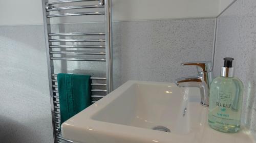 a bathroom sink with a bottle of soap on it at Bunroy Park in Fort William