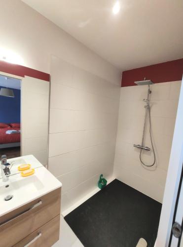 a bathroom with a sink and a shower at Le Cactus Orange Chambre d'hôte entrée indépendante in Cressensac