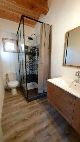 une salle de bain avec une douche, des toilettes et un lavabo dans l'établissement L'ANNEXE de L'IBIE BLEUE, à Lagorce