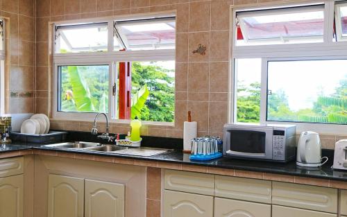 a kitchen with a sink and a microwave and two windows at Saria Self Catering in Anse Possession