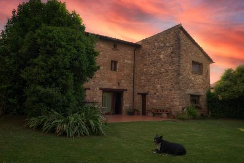 Abáigar的住宿－Casa Lucia，坐在建筑物前面的草上的一个黑狗