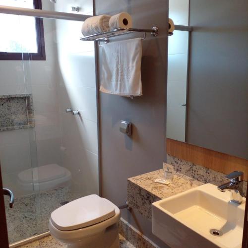 La salle de bains est pourvue de toilettes, d'un lavabo et d'un miroir. dans l'établissement Hotelog Tibagi, à Ponta Grossa