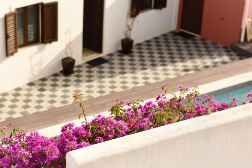 a planter with purple flowers next to a swimming pool at Casa Malpique in Albufeira