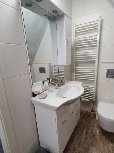 Baño blanco con lavabo y espejo en Ferienwohnung Deubetal 10, en Stadtilm