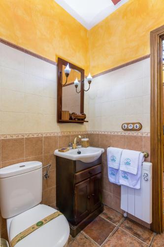 a bathroom with a toilet and a sink and a mirror at El Mirador De Ruidera in Ruidera