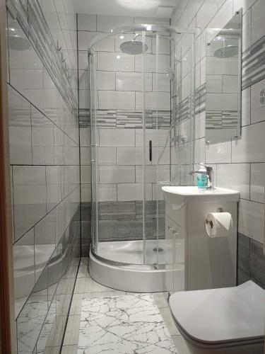 ein Bad mit einer Dusche, einem WC und einem Waschbecken in der Unterkunft Apartament nad Muflonem in Podgórzyn
