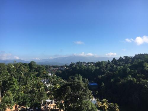 a town in the middle of a forest of trees at Hansons Homestay in Kandy