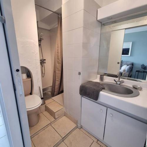 une salle de bain avec un lavabo, des toilettes et un miroir dans l'établissement Gemütliches Studio, Pool, Parkplatz. Ohne Vis-a-vis., à Fréjus