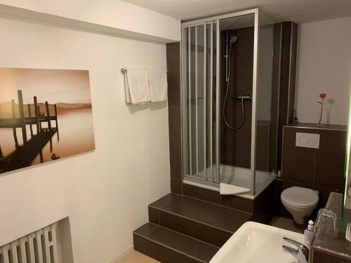 ein Bad mit einer Dusche, einem WC und einem Waschbecken in der Unterkunft Hotel Restaurant Latio in Köln
