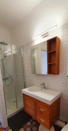 a bathroom with a sink and a shower at Studio Sommieres in Sommières