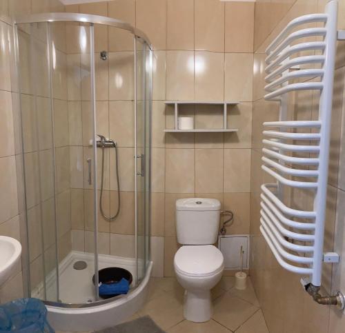W łazience znajduje się prysznic, toaleta i umywalka. w obiekcie Pokoje Gościnne Rybitwa w Karwii