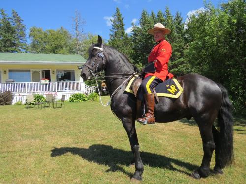 a man sitting on top of a black horse at Boardwalk Motel in Cavendish