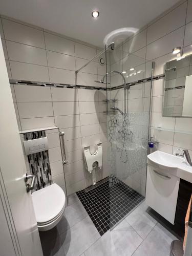 a bathroom with a toilet and a shower and a sink at Fewo Berlik in Bad Harzburg
