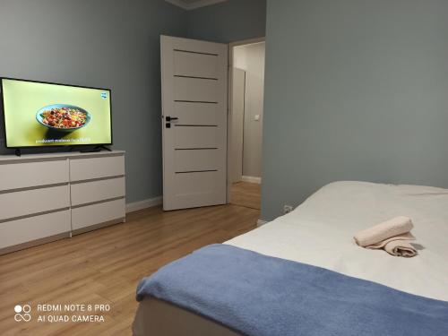 a bedroom with a bed and a tv on a dresser at Apartament Arkada Centrum in Rzeszów