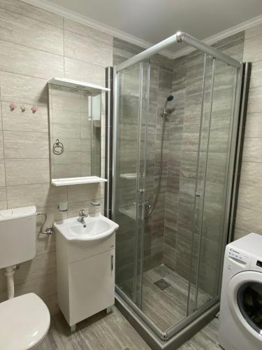e bagno con doccia, servizi igienici e lavandino. di Apartmani Vila a Cetinje (Cettigne)