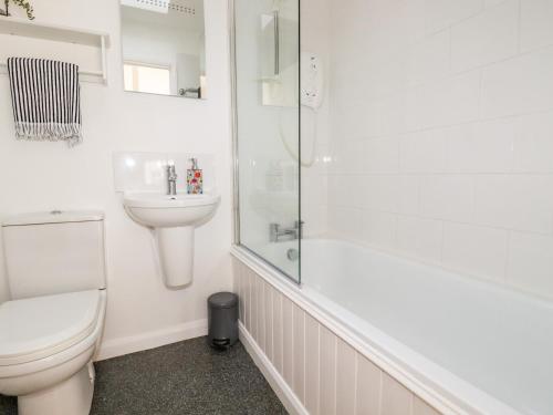 a bathroom with a toilet and a shower and a sink at Slate Cottage in Helland