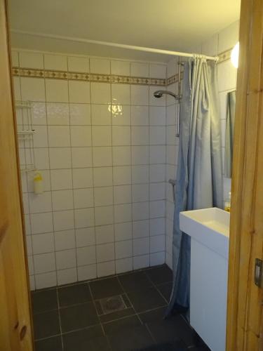 a bathroom with a shower and a sink at Gjesteheim Havdal in Sundset