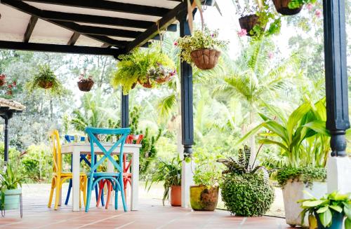 a patio with colorful chairs and potted plants at Hotel Kuácara Campestre in Cajibío