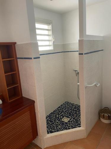 a bathroom with a shower with a black and white floor at Magnifique Villa Domaine de Biglette in Baie-Mahault