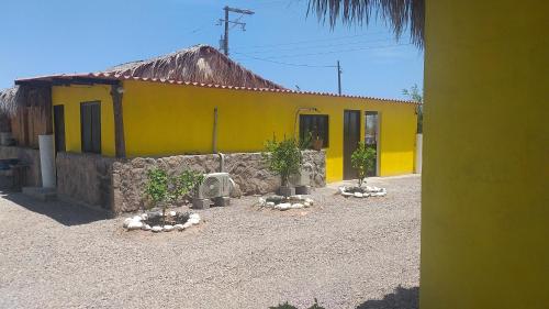 un bâtiment jaune avec deux plantes en pot devant lui dans l'établissement La Regional, à Loreto