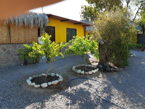 un jardin avec deux arbres et une maison dans l'établissement La Regional, à Loreto