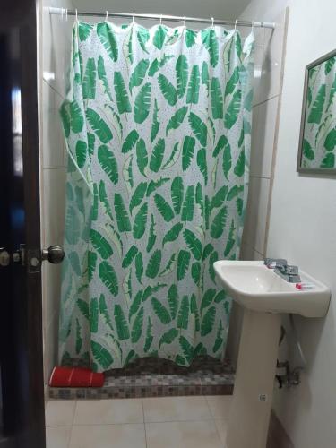 La salle de bains est pourvue d'un rideau de douche et d'un lavabo. dans l'établissement La Regional, à Loreto