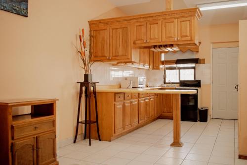 Dapur atau dapur kecil di Suites Cervantes