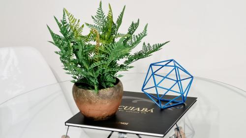 a plant in a vase on a table next to a blue cube at Curitiba VIP Studio 21 in Temuco