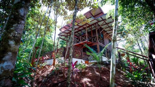 Finca Encanto Eco Lodgeにある庭