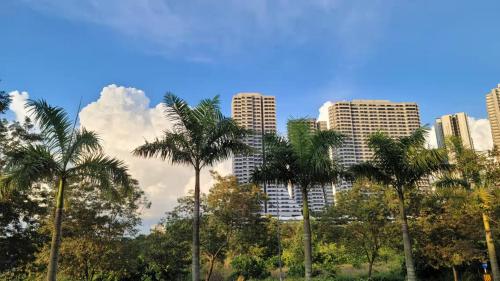 a group of palm trees in front of tall buildings at Macrolink Medini by RR JBcity in Nusajaya
