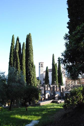 a group of trees in a park with a building at Washington Apartments al Vittoriale in Gardone Riviera
