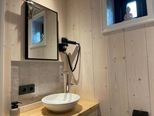 a bathroom with a white sink and a mirror at Luxury Chalets Monnickendam in Monnickendam