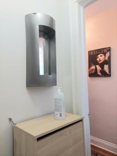 a bathroom with a mirror and a bottle on a cabinet at Elcho's ExplOre Ottawa #3 in Ottawa