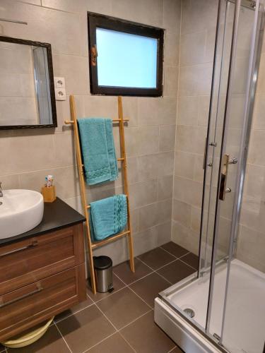 Koupelna v ubytování House Kupa MB