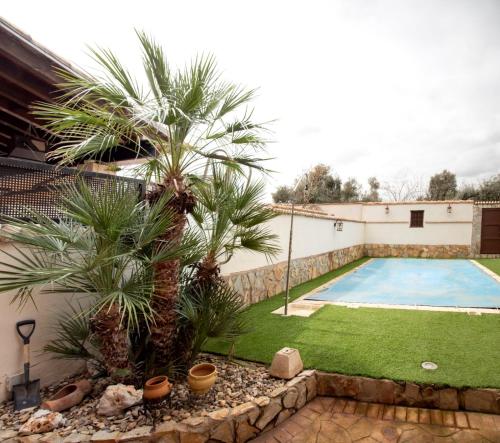 a backyard with palm trees and a swimming pool at TOLEDO ENCANTADO Piscina y BBQ privada 2,5 km de Puy du Foy in Argés