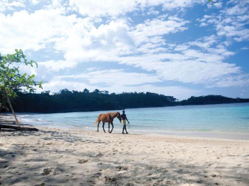 Gallery image of Geejam in Port Antonio