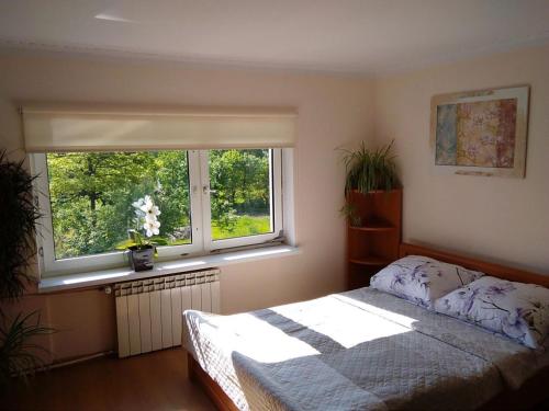 a bedroom with a bed and a window at Apartament nad Potokiem in Piechowice