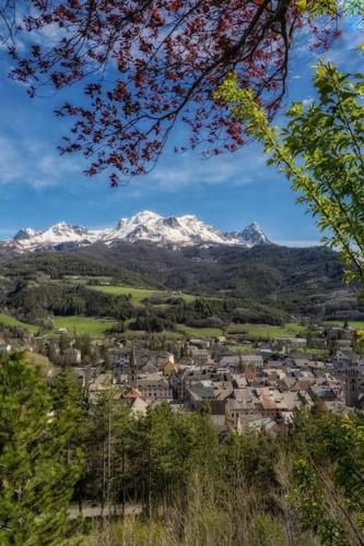 a city with snow capped mountains in the background at Barcelonnette studio 2 personnes in Barcelonnette