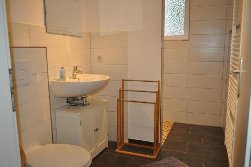 ein Badezimmer mit einem Waschbecken, einem WC und einem Spiegel in der Unterkunft Ferienwohnung am Bauernhof in Behrensdorf