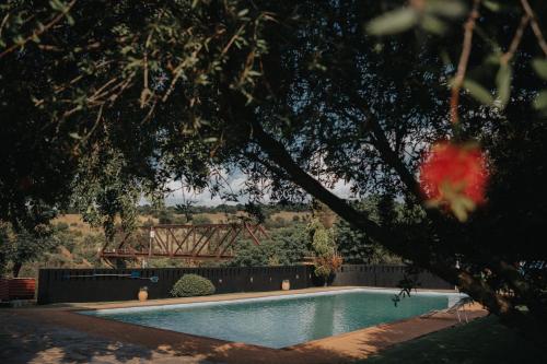 a swimming pool in a yard with trees at Pretorius Park in Hartbeespoort