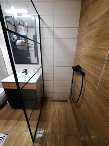 a bathroom with a shower with a sink and a mirror at Apartman Radmila in Kopaonik