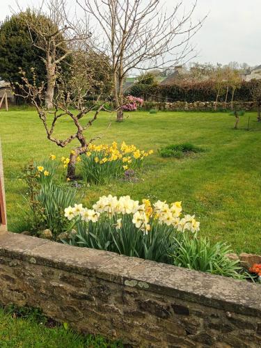 a flower garden with yellow and white flowers at La Lendeline in Saint-Sauveur-Lendelin